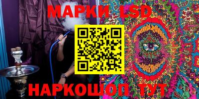 гидропоника Гусев