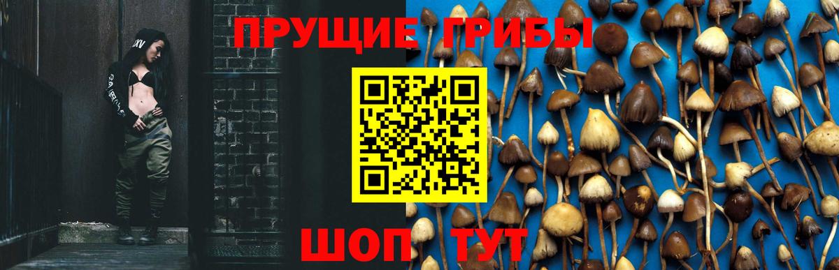 Галлюциногенные грибы Cubensis Нижний Тагил