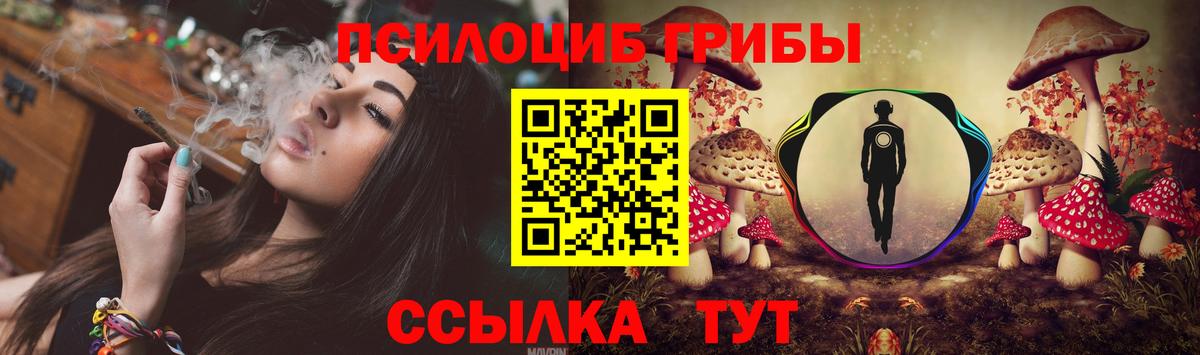 Галлюциногенные грибы Psilocybe  Вход с VPN  Псилоцибиновые грибы мухоморы  Нижний Тагил 